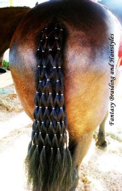 Braiding For Horses Horse Hair Tribe