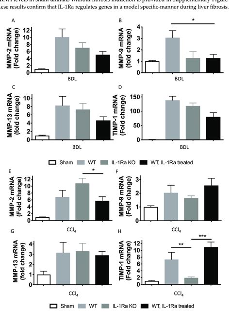 Matrix Metalloproteinase Mmp 2 9 And 13 And Tissue Inhibitor Of Download Scientific Diagram