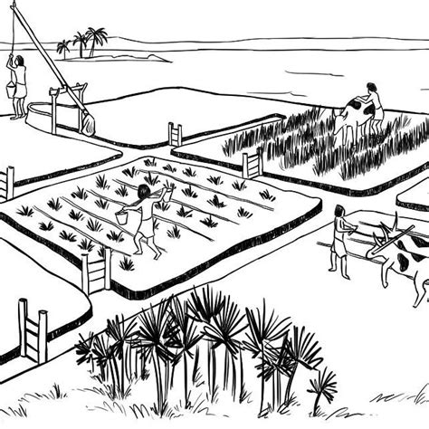 Irrigation Canals With Closures In Ancient Egypt Drawn After TC2