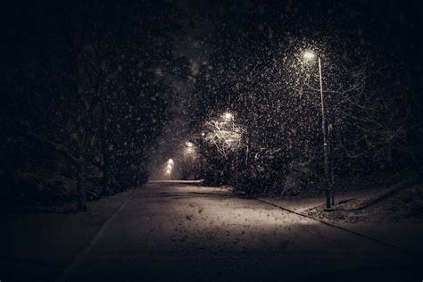 Sunlight Trees Landscape Street Light Night Nature Urban Snow