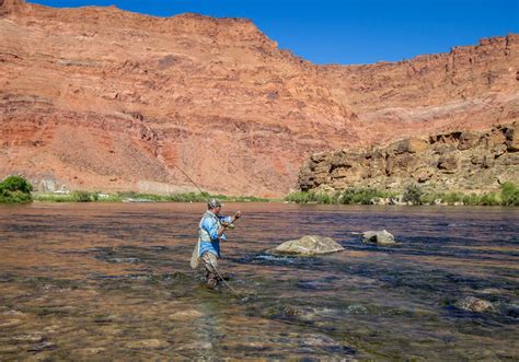 Best Fishing Spots In Arizona Fishmasters