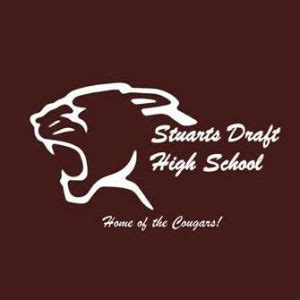 Stuarts Draft High School honored in statewide campaign to keep teen ...