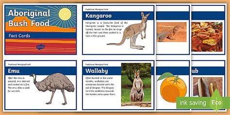 Aboriginal Food Facts For Kids Fact Cards Year 3 4