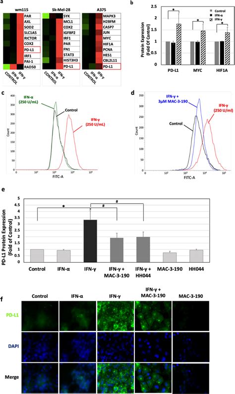 A Heat Map Of Reverse Phase Protein Array Rppa Showing Distinct