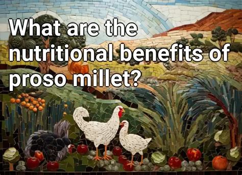 What Are The Nutritional Benefits Of Proso Millet Agriculture Gov