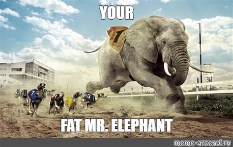 Meme: "YOUR FAT MR. ELEPHANT" - All Templates - Meme-arsenal.com