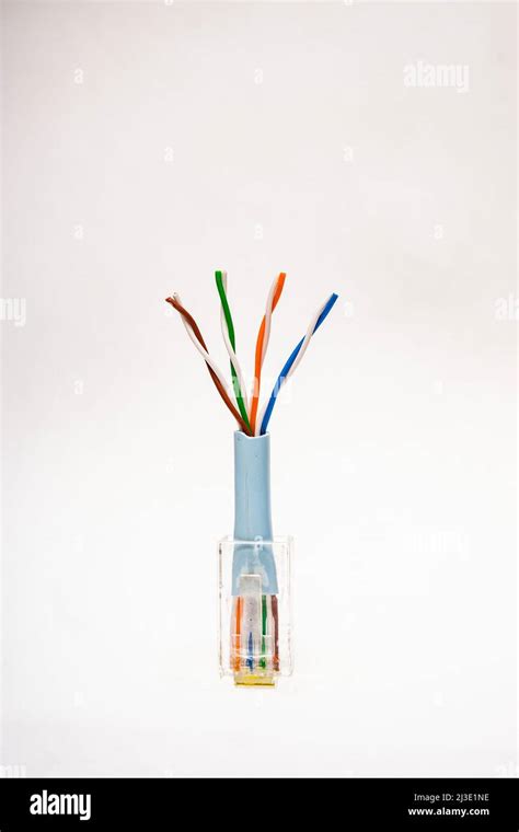 An Rj 45 Connector with Category 5 color coded twisted pair wires used for computer networks ...