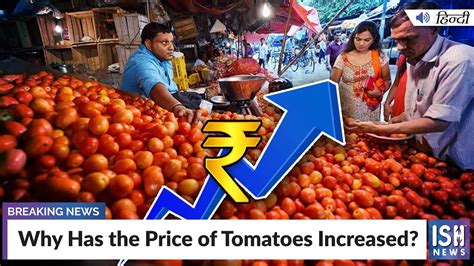 Why Has The Price Of Tomatoes Increased Youtube