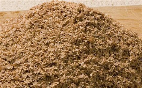 Отруби пшеничные: польза и вред. Как принимать отруби пшеничные