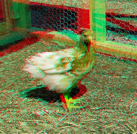 These pictures can be seen in 3D by using red-cyan glasses. look better ...