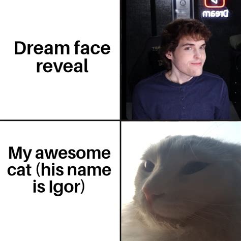 My cat : r/MinecraftMemes