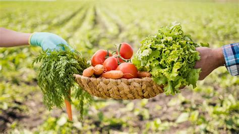 What are the Health Benefits of Organic Farming? – NutritionFact.in