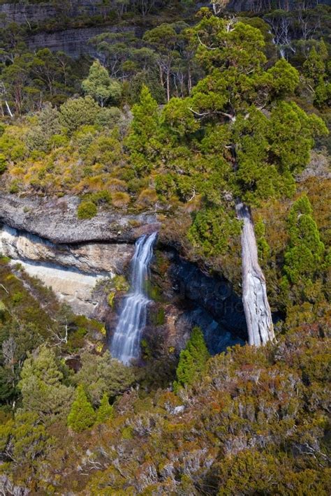 Image Of Waterfall Valley Cradle Mountain Lake St Clair National Park