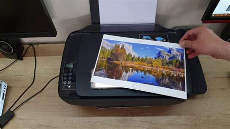 HP Ink Tank Wireless 415 Printer 8 MONTHS AFTER!!! - YouTube