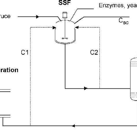 Schematic Flowsheet Of Ethanol Production Based On Ssf With Different