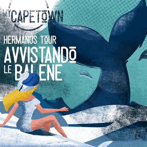 Viaggio In Sudafrica Cose Da Sapere Prima Di Partire My Capetown