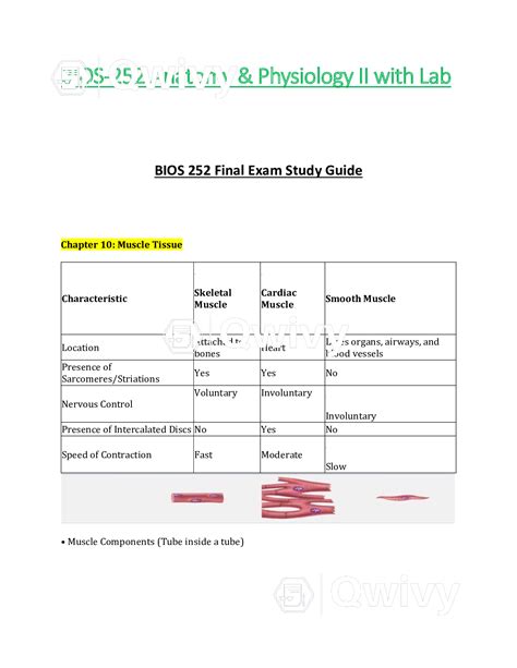 Bios252 Bios 252 Final Exam Study Guide Latest 2021 Anatomy