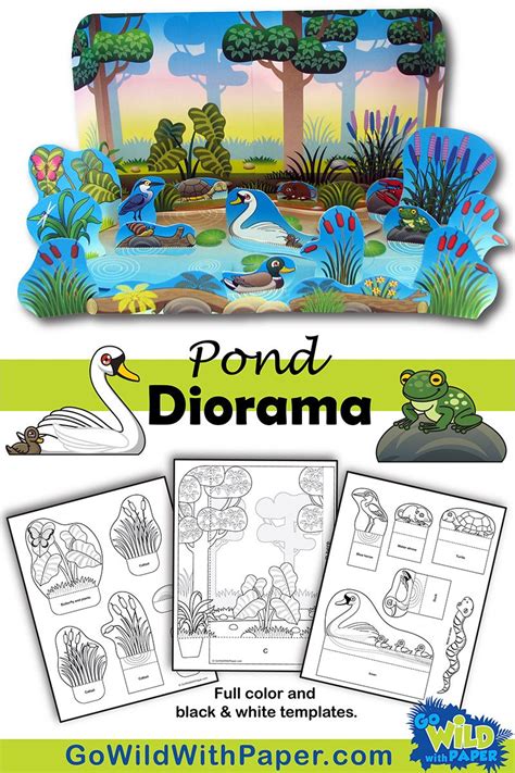 Pond Diorama Project Habitat Activities Animal Habitats Diorama Kids