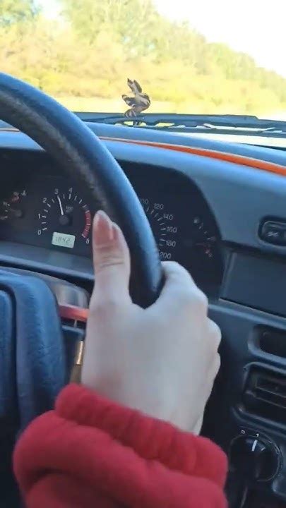 Будущий водитель 😎🚗 - YouTube