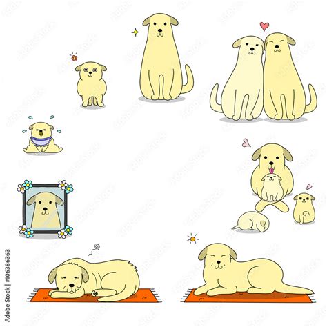 dog's life cycle Stock Vector | Adobe Stock