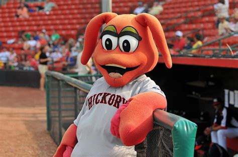 Conrad The Crawdad Hickory Crawdads Mascot South Atlantic League