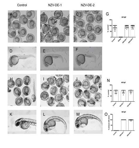 Zebrafish embryonic development progress in the presence of NZV-DE-1 ... 