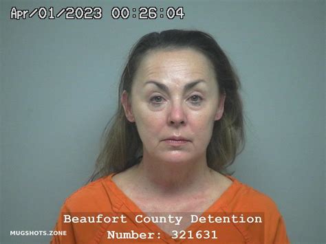 Joann Johnson Young 04 01 2023 Beaufort County Mugshots Zone