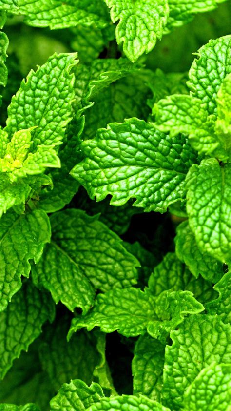 18 Love Making Scenes That Will Add Spice To Your Sex Life