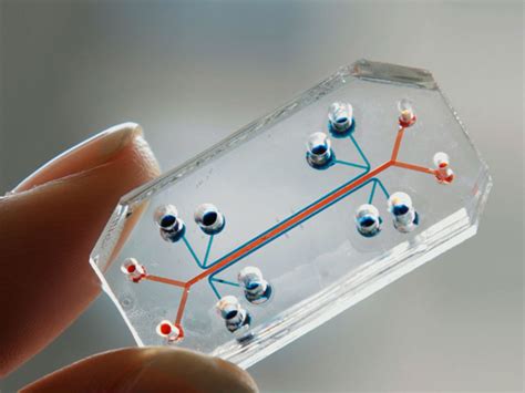 Lung On A Chip Tech Set To Revolutionize Scientific Drug Testing