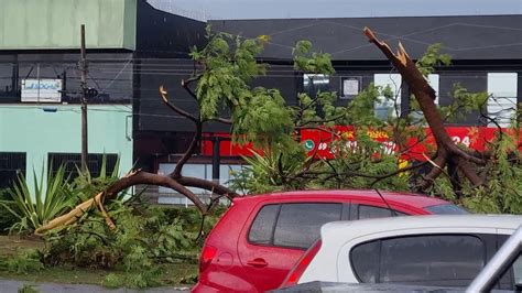 Tempestade Derruba Rvores Arranca Postes E Destelha Dezenas De Casas