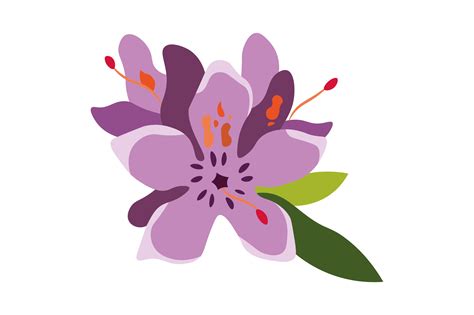 West Virginia State Flower - Rhododendron Maximum SVG Cut file by ...