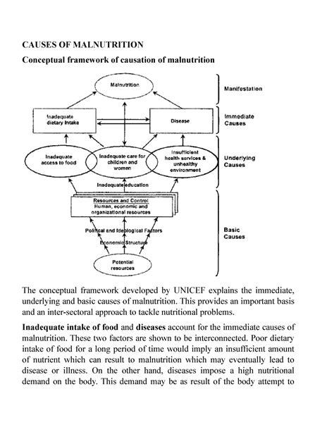 Causes Of Malnutrition Causes Of Malnutrition Conceptual Framework Of