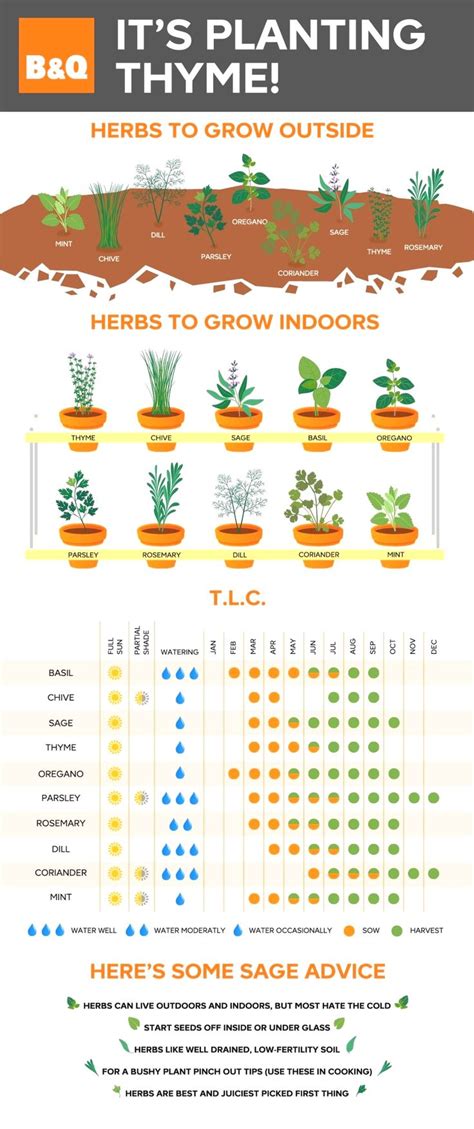 Chart For Planting Vegetable And Herb Garden