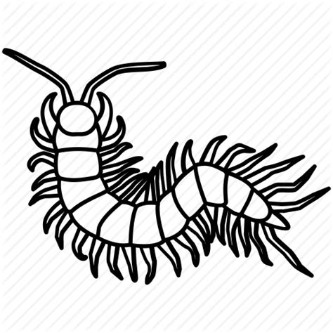 Centipede Coloring Page At Getdrawings Free Download