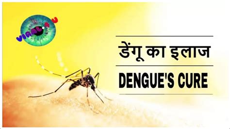 Dengue Fever Cure Ayurvedic And Home Remedies डेंगू के अयूर्वैदिक घरेलू नुस्खे Youtube