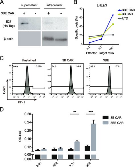 The Expression And Secretion Of Pd Blocking Antibody E Enhances The