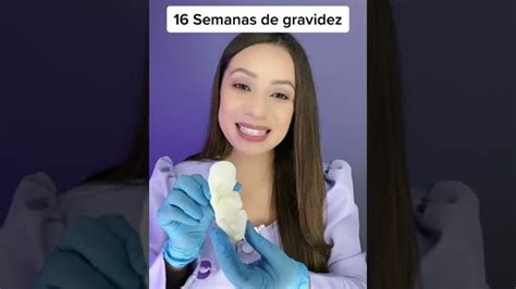 16 Semana De Gravidez O Bebe Ja Mexe