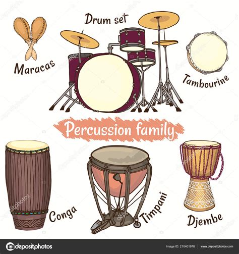 Set Different Percussion Family Instruments Isolated White Background ...