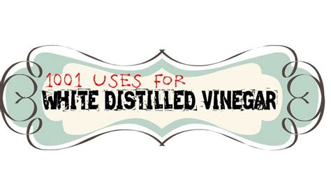 1001 Uses for White Distilled Vinegar | Cleaning hacks, Cleaning ...