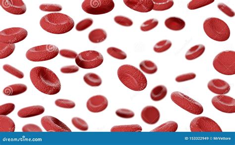 Red Blood Cells In Vena Erythrocytes Isolated On White Background