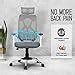 Da Urban Merlion Office Chair High Back Mesh Ergonomic Home Office