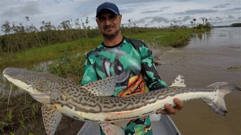 Esse Dia Acertamos O Ninho Dos Brutos Surubim Caparari E Surubim