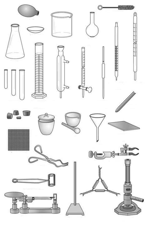 Common lab equipment Diagram | Quizlet