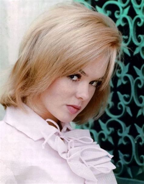 Joey Heatherton American Sex Symbol Of The 1960s And 1970s Vintage