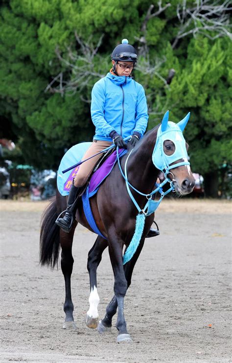 「障害絶対王者」オジュウチョウサンの種牡馬入りが決定 12月24日のラストラン中山大障害当日に引退式 Umatoku 馬トク