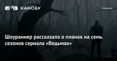 Шоураннер рассказала о планах на семь сезонов сериала «Ведьмак»