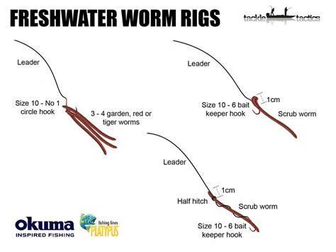 Worm Rigs For Freshwater Tackle Tactics