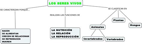 Mapa Conceptual De Los Seres Vivos ¡guía Paso A Paso