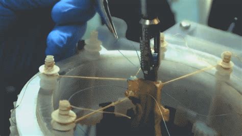 First Autonomous Robot To Operate On Soft Tissue Outdoes Human Surgeons