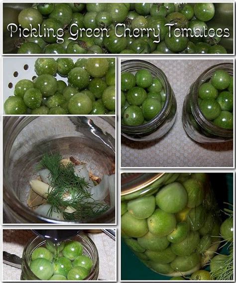 Pickled Green Cherry Tomatoes Recipe Artofit